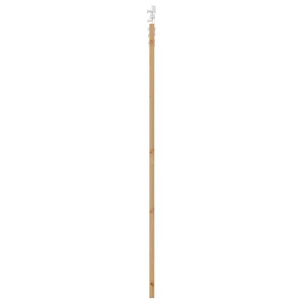 Schiebetür 93 x 211 cm Massivholz Kiefer und Glas Natur