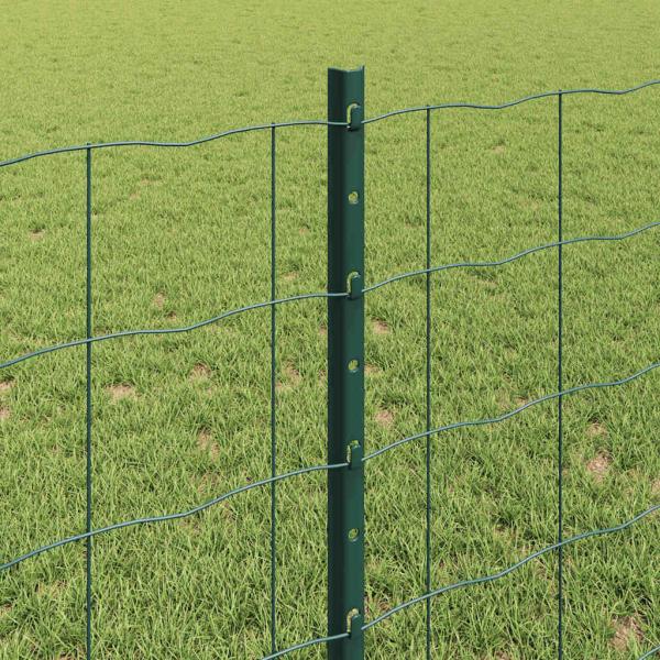 Euro-Zaun mit Pfosten 10 x 0,8 m PVC-beschichteter Stahl Grün