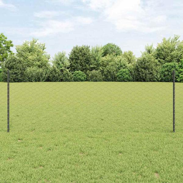 ARDEBO.de - Sechseckzaun mit Pfosten 25 x 0,8 m PVC-beschichteter Stahl
