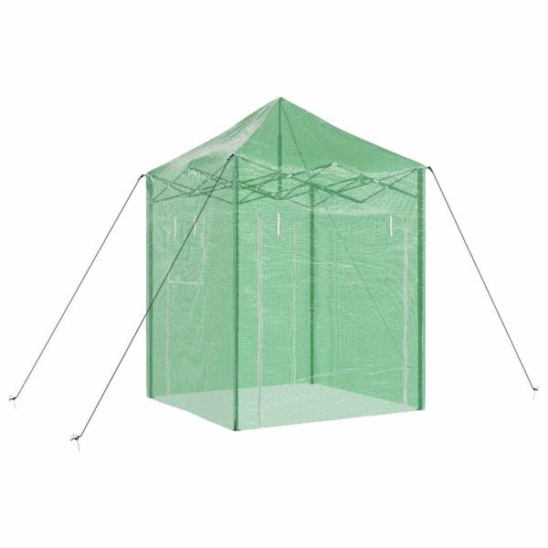 Gewächshaus mit Pop-up-Rahmen Grün 200 x 200 x 300 cm Eisen