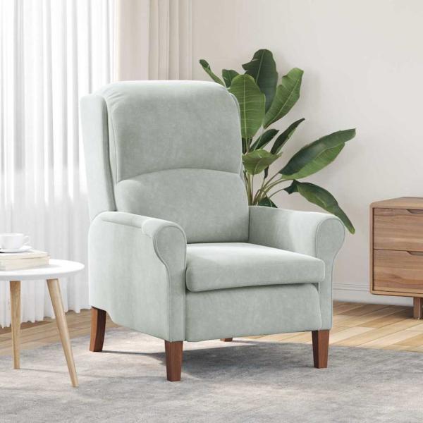 ARDEBO.de - Sessel Hellgrau Samt