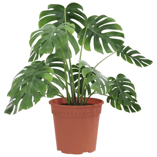 Runder Blumentopf 6 stk. Ziegelrot Ø 19 x 16,5 cm Kunststoff