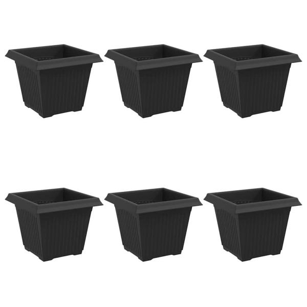 Quadratischer Blumentopf 6 Stk. Schwarz 20 x 20 x 16 cm