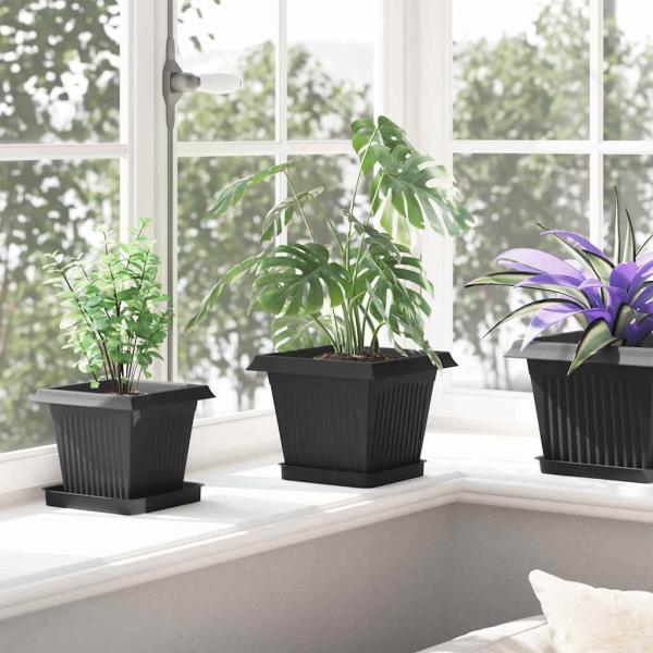Quadratischer Blumentopf 6 Stk. Schwarz 20 x 20 x 16 cm