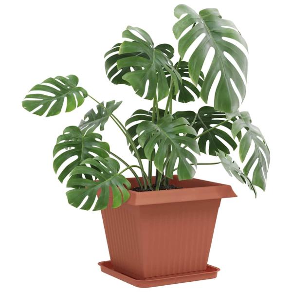 Quadratisches Blumentablett 24 stk. Ziegelrot 32 x 32 x 2,5 cm