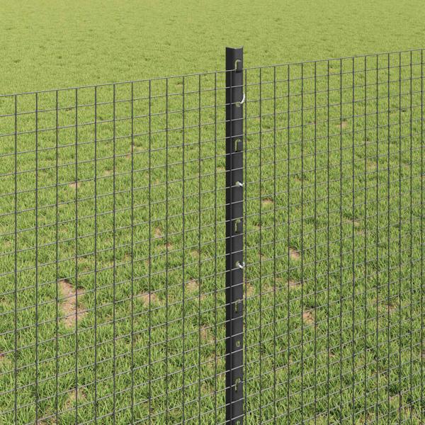 Geschweißter Drahtzaun mit Pfosten 10 x 1 m Verzinkter Stahl