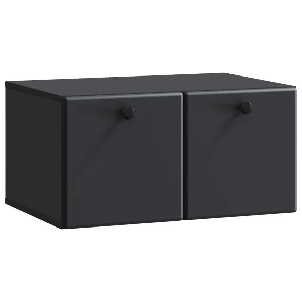 Wandmontierter TV-Schrank 59,5 x 41 x 30 cm Schwarz