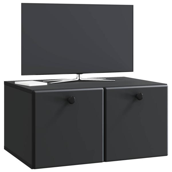 Wandmontierter TV-Schrank 59,5 x 41 x 30 cm Schwarz