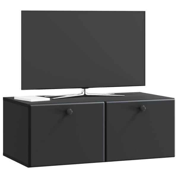 Wandmontierter TV-Schrank 78,5 x 41 x 30 cm Schwarz