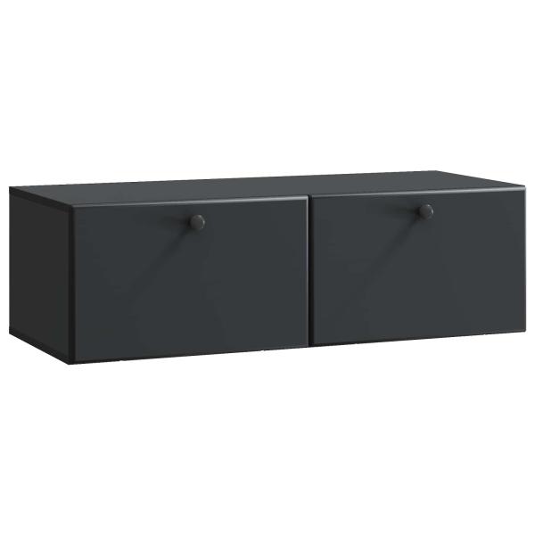 Wandmontierter TV-Schrank 98 x 41 x 30 cm Schwarz Holzwerkstoff