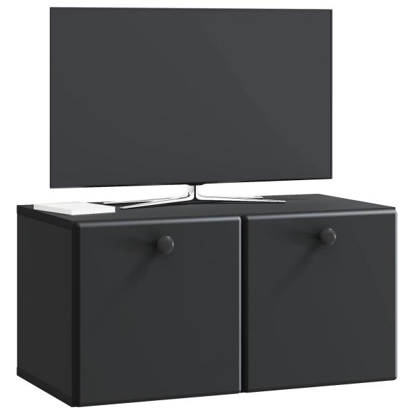 Wandmontierter TV-Schrank 59,5 x 31 x 30 cm Schwarz