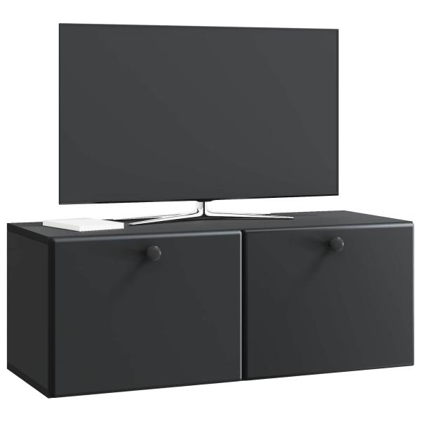 Wandmontierter TV-Schrank 78,5 x 31 x 30 cm Schwarz