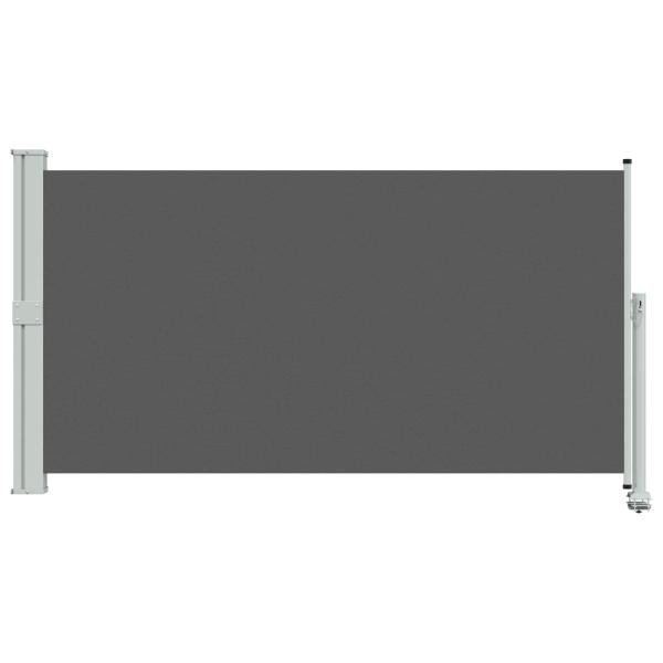 Seitenmarkise Anthrazit 160 x 300 cm Polyester Rechteckig
