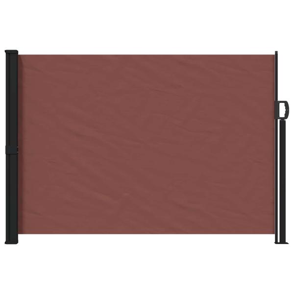 Ausziehbare Seitenmarkise 300 x 170 cm Polyester Rechteckig