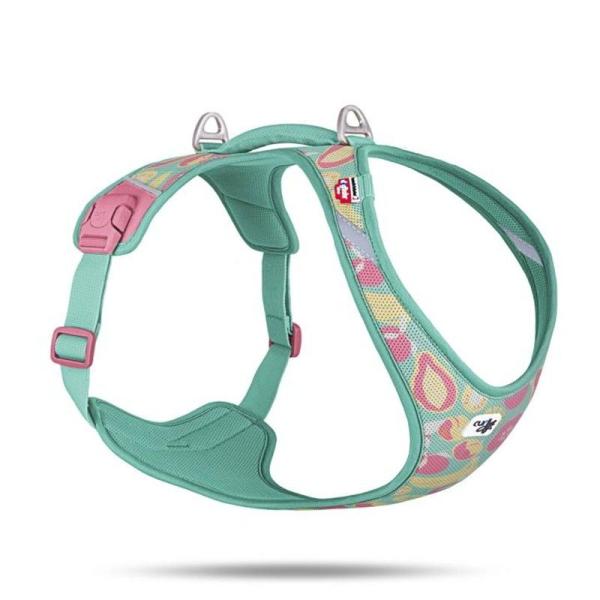 ARDEBO.de Curli All New Belka LE26 FruitsTürkis 4XL