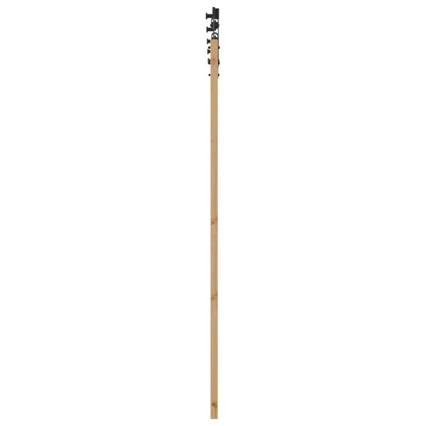 Schiebetür Natur 61 x 198,5 cm Massives Kiefernholz
