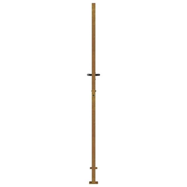 Gartentor 100x200 cm Cortenstahl