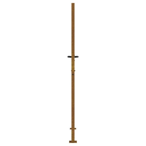 Gartentor 100x200 cm Cortenstahl