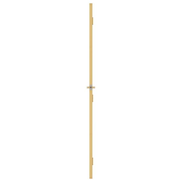 Innentür Schlank Golden 76x201,5 cm Hartglas und Aluminium