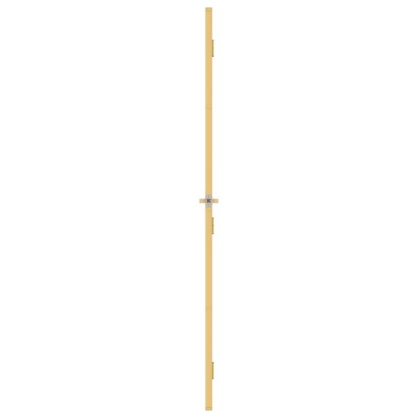 Innentür Schlank Golden 76x201,5 cm Hartglas und Aluminium