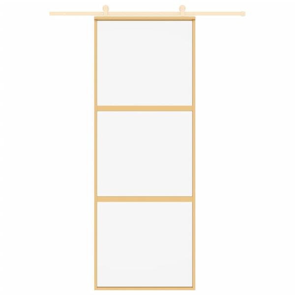 Schiebetür Golden 76x205 cm ESG-Klarglas und Aluminium