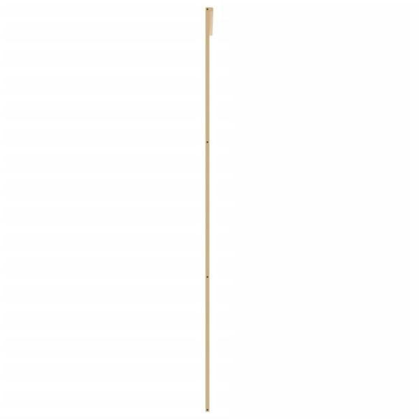 Schiebetür Golden 90x205 cm ESG-Klarglas und Aluminium