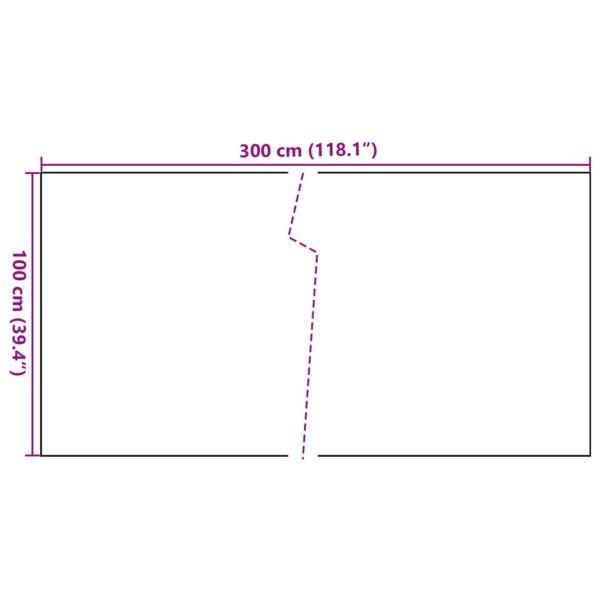 Balkon-Sichtschutz Schwarz 300x100 cm Poly Rattan