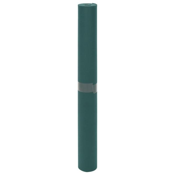 Wintervlies 70 g/m² 10x1,6 m