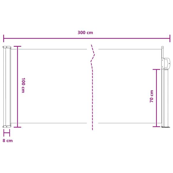 Ausziehbares Seitenmarkise 300 x 100 cm Polyester Rechtwinklig