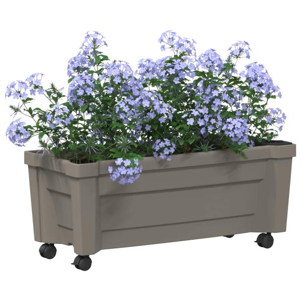 Calypso Blumentopf mit Rädern PP Grau