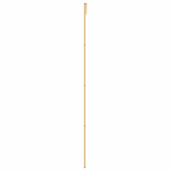Schiebetür Golden 90x205 cm Matt ESG-Glas und Aluminium
