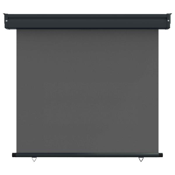 Balkon Seitenmarkise 60 x 250 cm 100% Polyester Eisen Stahl
