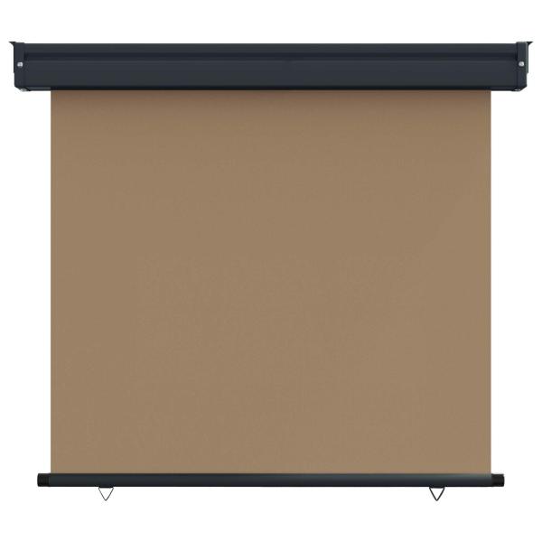 Balkon Seitenmarkise 100 x 250 cm 100% Polyester Eisen Stahl