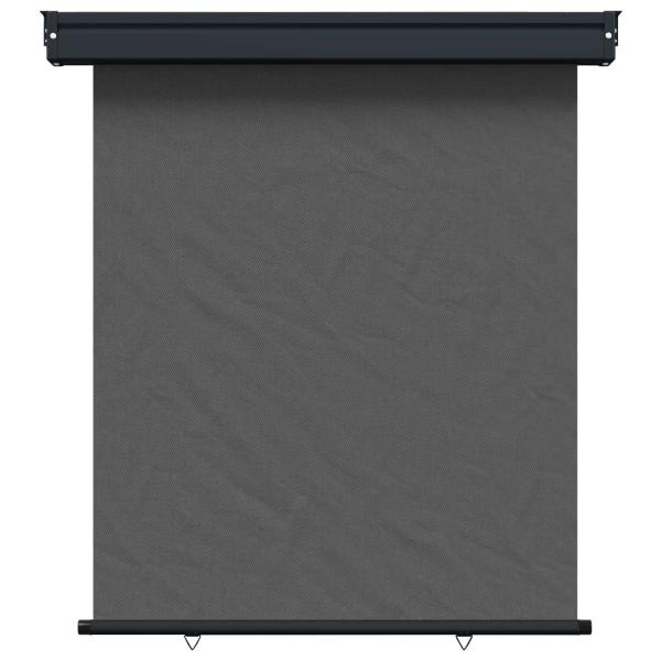 Balkon Seitenmarkise 117 x 250 cm 100% Polyester Eisen Stahl
