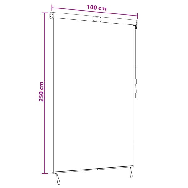 Rollo Mehrfarbig 100 x 250 cm Stoff und Aluminium
