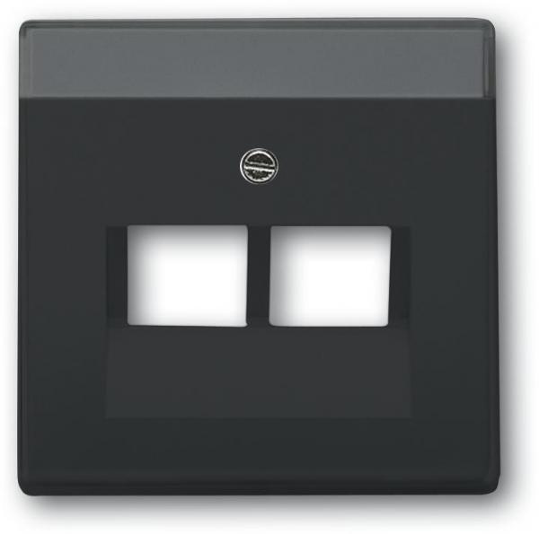 ARDEBO.de Busch-Jaeger 1803-02-81 Zentralscheibe, Carat, 2-fach, anthrazit (2CKA001710A3615)