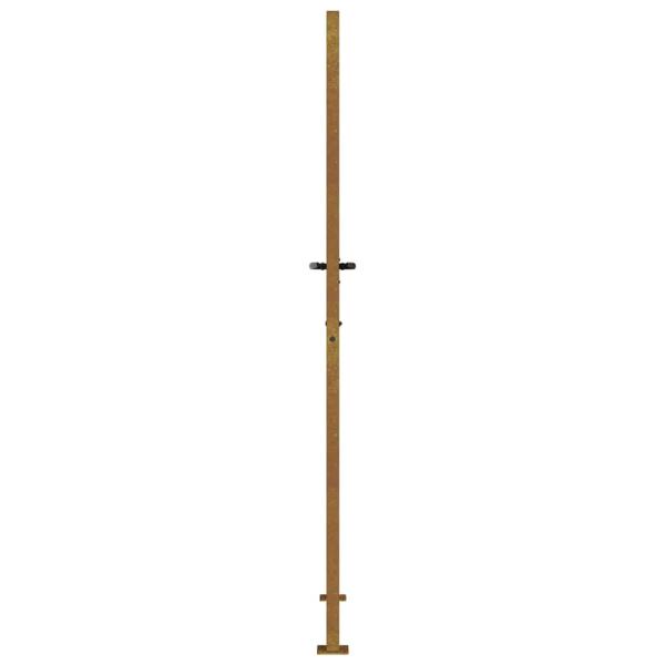 Gartentor 100x175 cm Cortenstahl Gras-Design