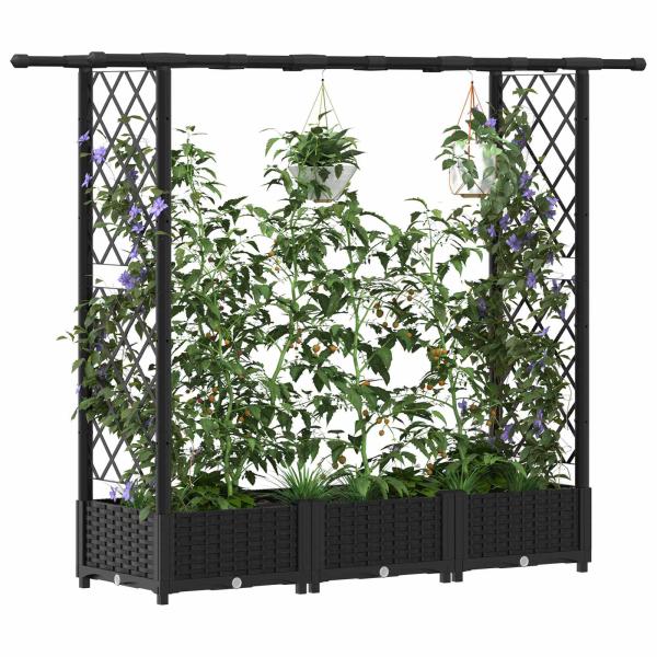Hochbeet mit Rankgitter und Dach Schwarz 164 x 40 x 121 cm PP