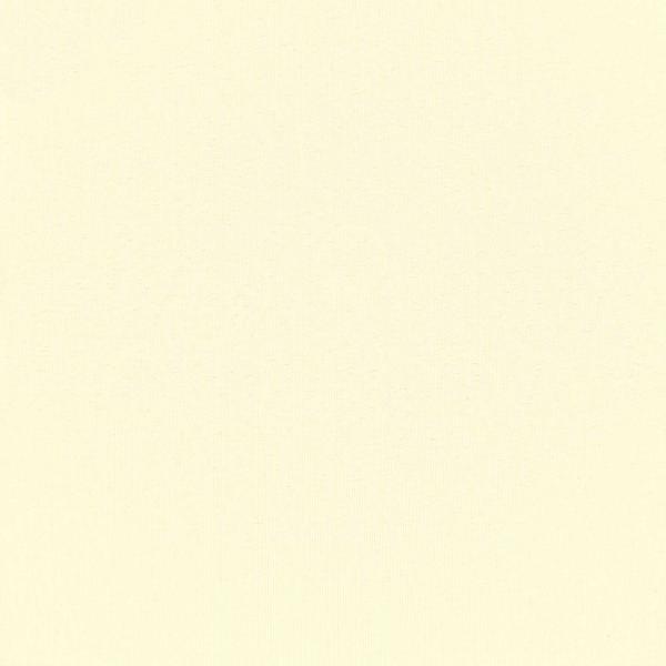 Außen-Rollos mit UV-Schutz Creme 85 x 230 cm (B x H) Polyester