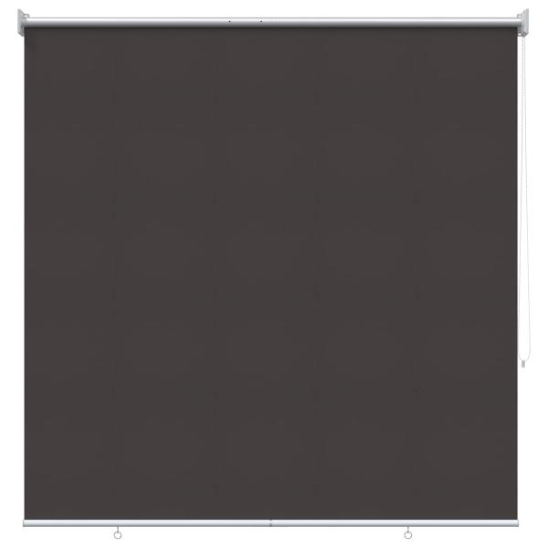 Außen-Rollos mit UV-Schutz Anthrazit 100 x 230 cm (B x H)