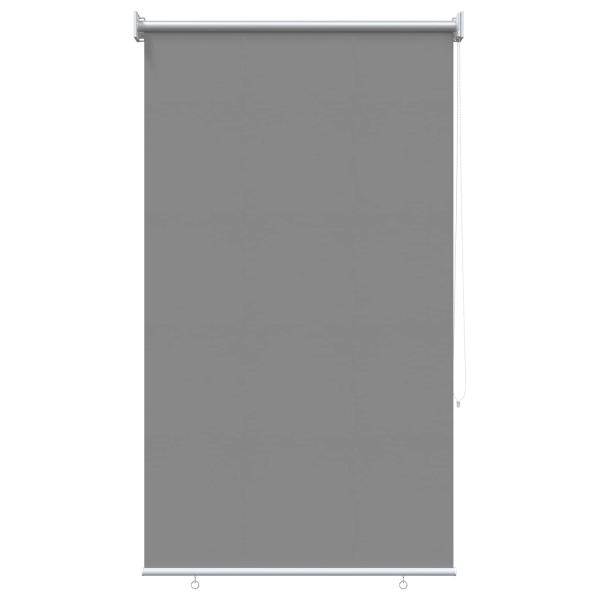 Außen-Rollos mit UV-Schutz Hellgrau 100 x 230 cm (B x H)