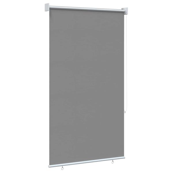 Außen-Rollos mit UV-Schutz Hellgrau 100 x 230 cm (B x H)