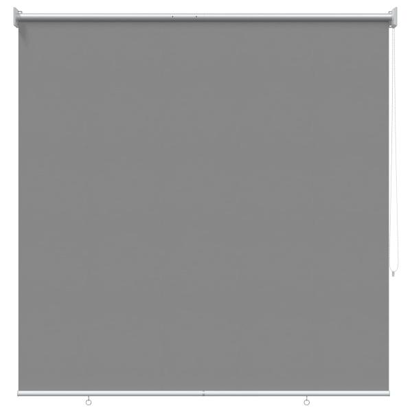 Außen-Rollos mit UV-Schutz Hellgrau 100 x 230 cm (B x H)