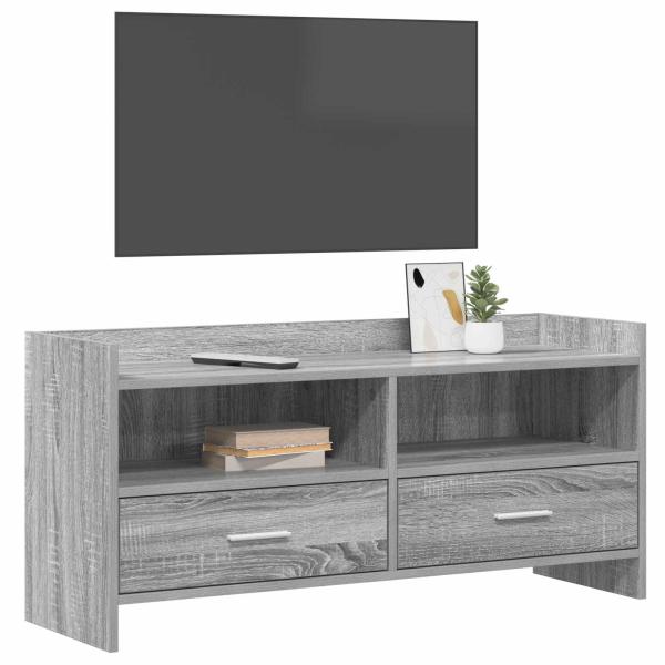 TV-Schränk 100 x 33 x 47 cm Grau Sonoma Holzwerkstoff