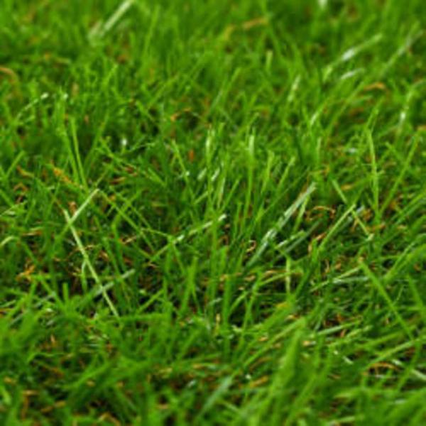 Kunstrasen 1x15 m/40 mm Grün