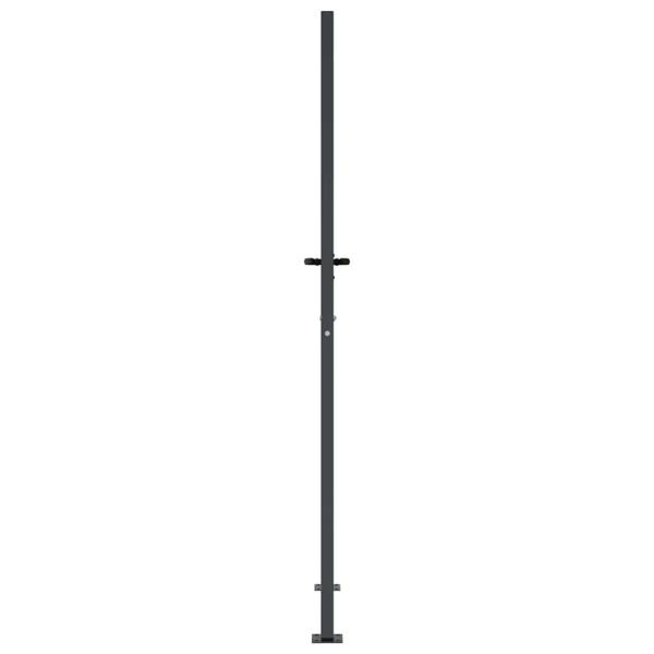 Gartentor Anthrazit 100x200 cm Stahl Gras-Design