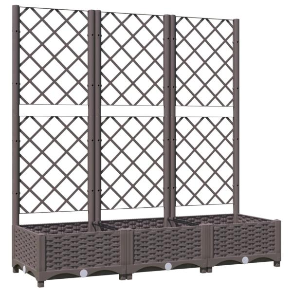 Garten-Pflanzgefäß mit Spalier Braun 120 x 40 x 121,5 cm PP
