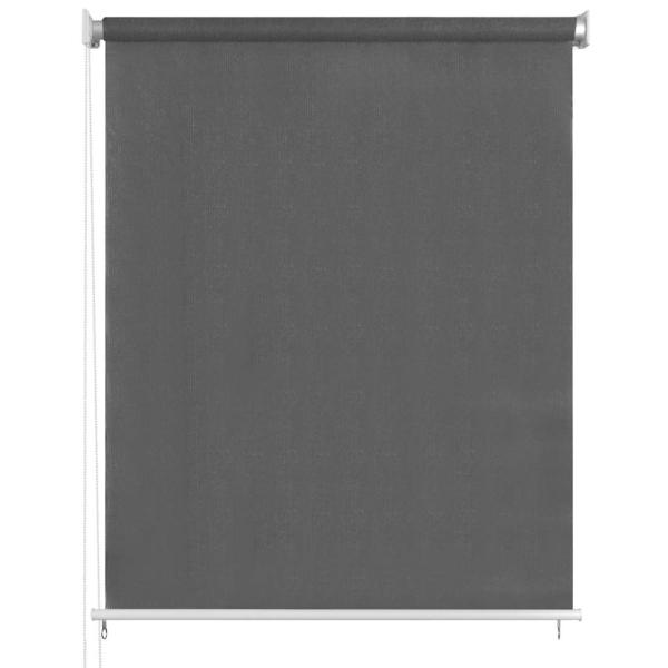 Außenrollo 65 (B) x 230 (H) cm Anthrazit