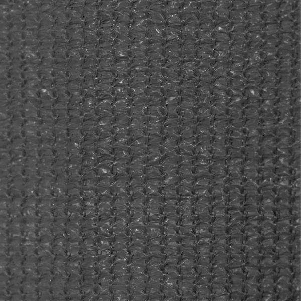Außenrollo 65 (B) x 230 (H) cm Anthrazit