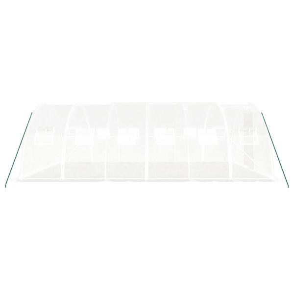 Gewächshaus mit Stahlrahmen Weiß 24 m² 6x4x2 m